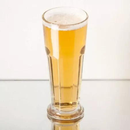 Vaso Cervecero con Pie Gibraltar de 14 Onzas LIBBEY 15429