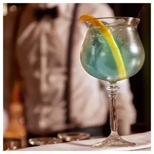 Copa Gin Tonic de 20.75 Onzas LIBBEY 502008