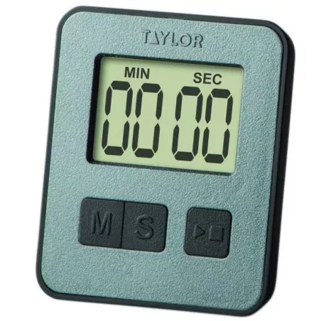 Timer Mini Digital de Color Gris TAYLOR 5842N15