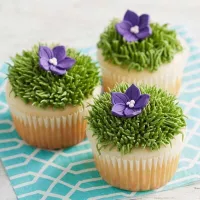 Boquilla para Decorar #233. WILTON 418-9616 2