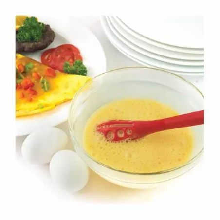 Batidor de Nylon NORPRO 1726DC