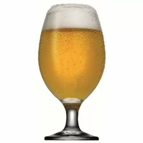 Copa Cervecera Bistro de 13-1/4 Onzas PASABAHCE 44417