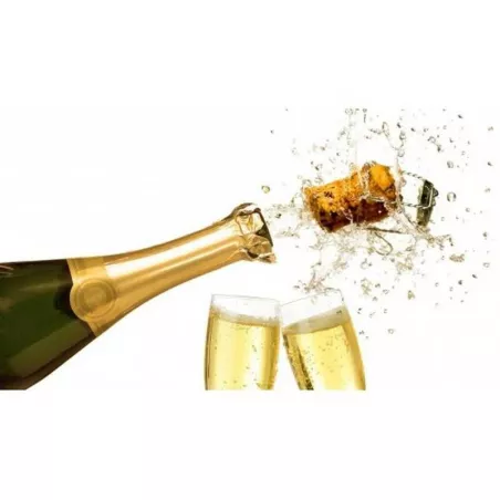 Champanera de Acero Inoxidable de  2 Quartos KING METAL WC1L