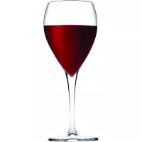 Copa para Vino Tinto Veneto de 20 Onzas PASABAHCE 440309 2