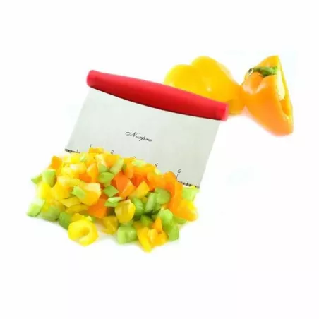 Rasqueta Color Rojo NORPRO 583R