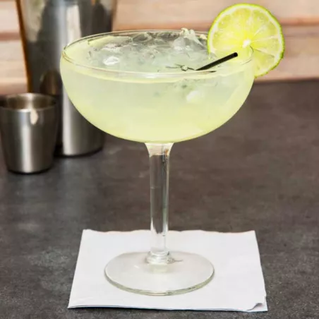 Copa Margarita Grande de 451 Mililitros LIBBEY 8422