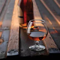 Copa Brandy Citation de 12 Onzas LIBBEY 8405 2