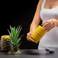 Cortador de Acero Inoxidable para Pina LURCH 00010246 2