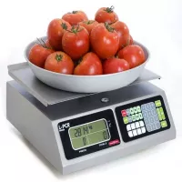 Balanza Multifunciones de 40 Kilogramos TORREY L-PCR-40 2