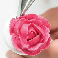 Colorante en Gel Rosado de 40 Gramos ASTEK ZT001 2