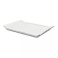 Plato Rectangular de Porcelana de 12 Pulgadas ARNI S5824 2