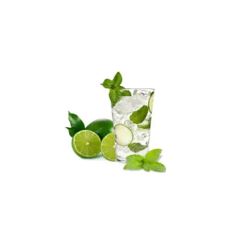 Vaso de Refresco Cavana de 16.2 Onzas CRISA 6129/1795791