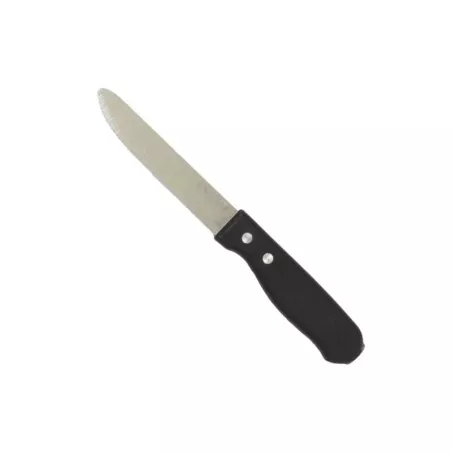 Cuchillo para Carne Punta Redonda con Puno de Plastico Jumbo de 5 Pulgadas THUNDER SLSKGK002