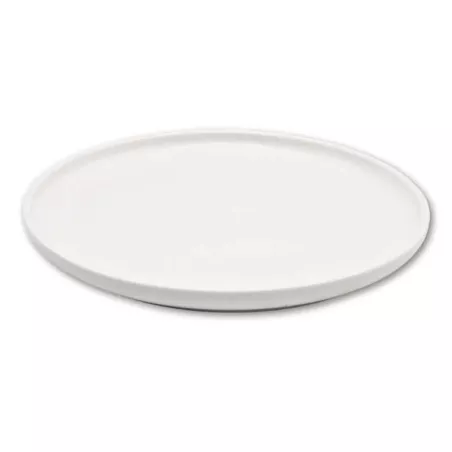Plato Redondo Leave de Porcelana 10.25 Pulgadas Blanco ARNI C1014