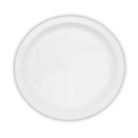 Plato Redondo de Porcelana de Borde Delgado de 9 Pulgadas Blanco ARNI S4889