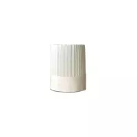 Gorro Chef de  Papel de 10 Pulgadas, Paquete de 12 Unidades SIN ASIGNAR 160035