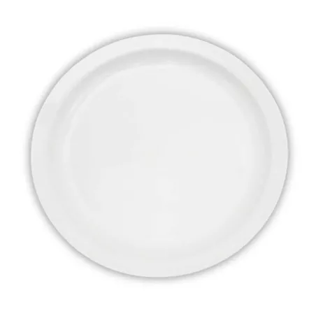 Plato Redondo de Porcelana de Borde Delgado 10.25 Pulgadas Blanco ARNI S4852