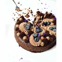 Colorante en Gel Cafe Oscuro de 40 Gramos ASTEK ZT049 2