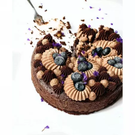 Colorante en Gel Cafe Oscuro de 40 Gramos ASTEK ZT049