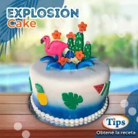 Explosion Cake TIPS RA0000620