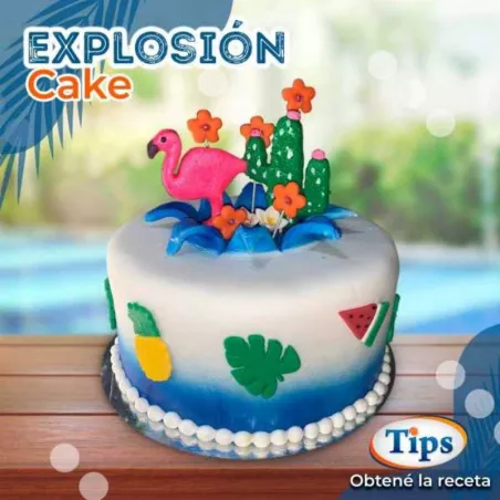 Explosion Cake TIPS RA0000620