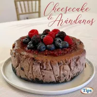 Cheesecake de Arandanos TIPS RA0000171