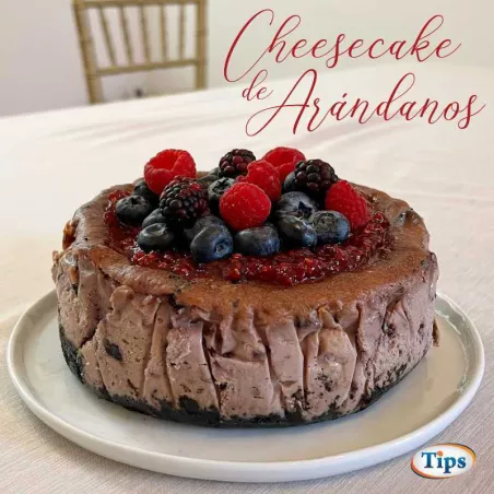Cheesecake de Arandanos TIPS RA0000171