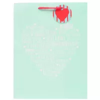 Bolsa para Regalo Grande de Corazon SIN ASIGNAR VGB109V3