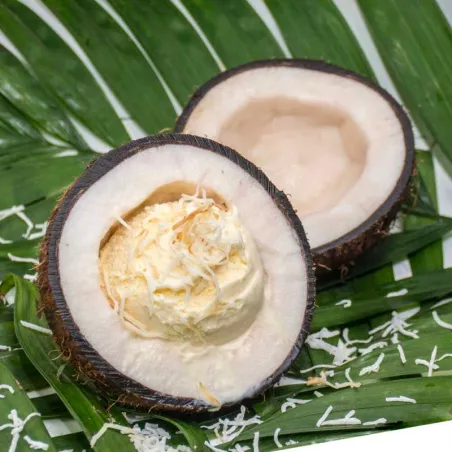 Esencia de Coco de 20 Mililitros ASTEK DG-012-20ML