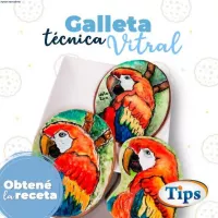 Galleta con Pintura Acuarela Tecnica Vitral TIPS RA0000928