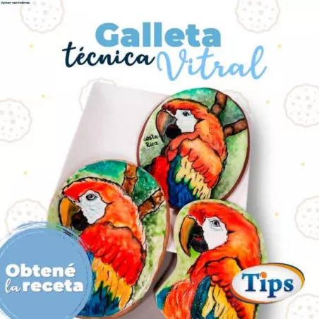 Galleta con Pintura Acuarela Tecnica Vitral TIPS RA0000928