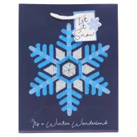 Bolsa Surtida para Regalo Grande, 1 Unidad SIN ASIGNAR CGBT3A-40 2