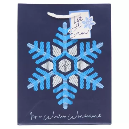 Bolsa Surtida para Regalo Grande, 1 Unidad SIN ASIGNAR CGBT3A-40