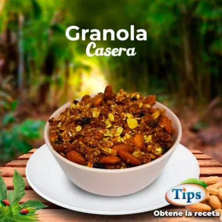 Granola Casera TIPS RA0000662