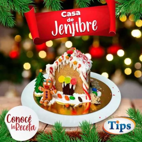 Casa de Jengibre TIPS RA0000896