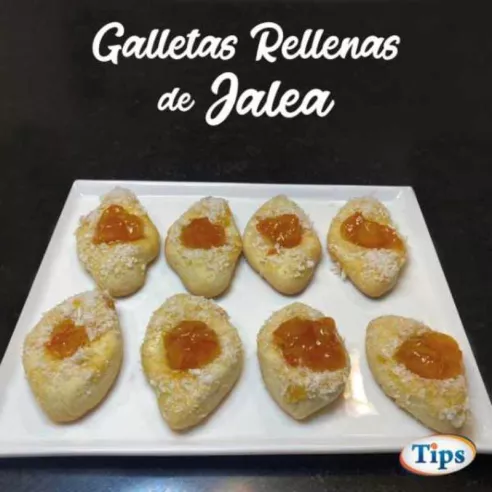 Galletas Rellenas de Jalea TIPS RA0000373
