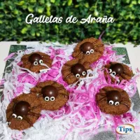 Galletas de Arana TIPS RA0000100
