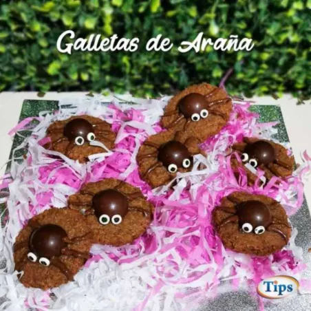 Galletas de Arana TIPS RA0000100