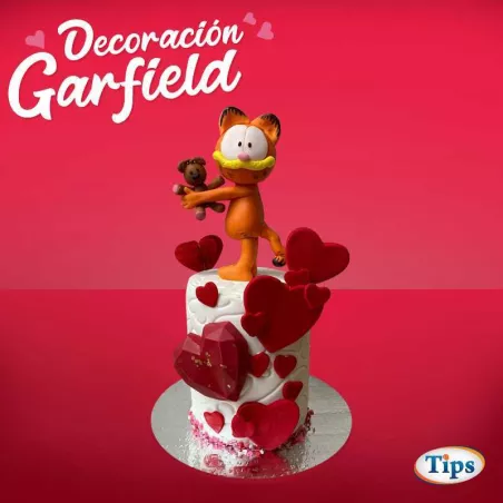 Decoracion Garfield TIPS RA0000193
