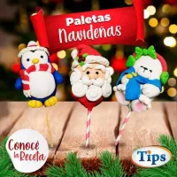 Paletas Navidenas TIPS RA0000975