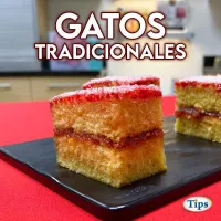 Gatos Tradicionales TIPS RA0001096
