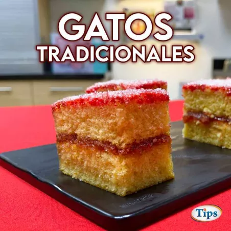 Gatos Tradicionales TIPS RA0001096