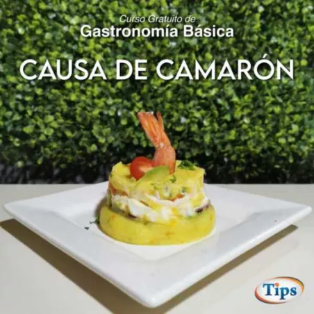 Causa de Camaron TIPS RA0000084