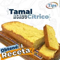 Tamal Asado Citrico TIPS RA0001037