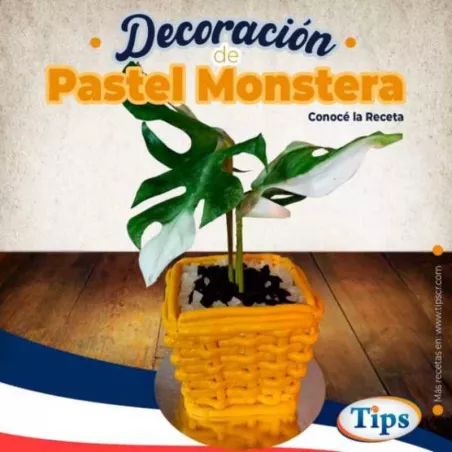 Decoracion de Pastel Monstera TIPS RA0000341
