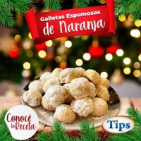 Galletas Espumosas de Naranja TIPS RA0000946