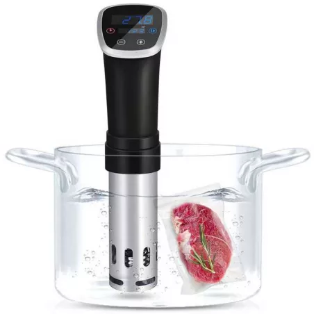 Cocedor al Vacio de  800 Watts QUANTUM PRO SV-1