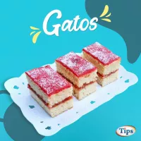 Gatos TIPS RA0000215