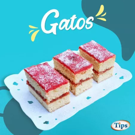 Gatos TIPS RA0000215