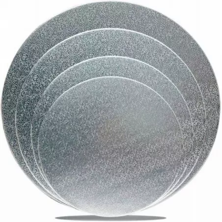 Disco Redondo Plateado de 10 Pulgadas 25 Unidades. TIPS E-079-1